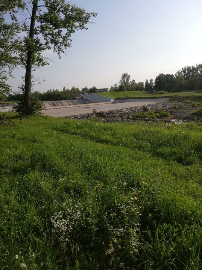 Dom Nad Skawa - Zator 5Km Lägenhet Grodzisko  Exteriör bild